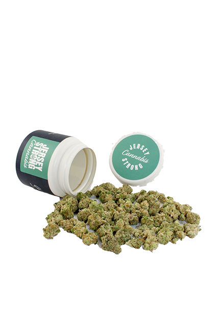 Photograph of product: Jersey Strong | Grape Candy Zkittles | 7g