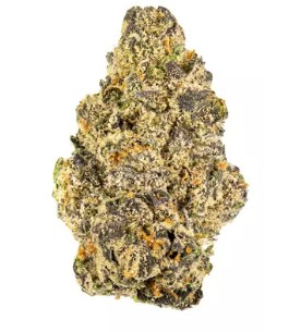 Photograph of product: Baseline | Typhoon #8 3.5g