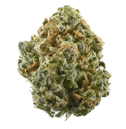 Photograph of product: Dank | Blue Dream | 14g