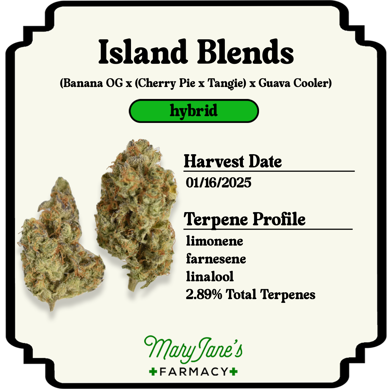 Photograph of product: Island Blends Prepackaged Eighth | 3.5g