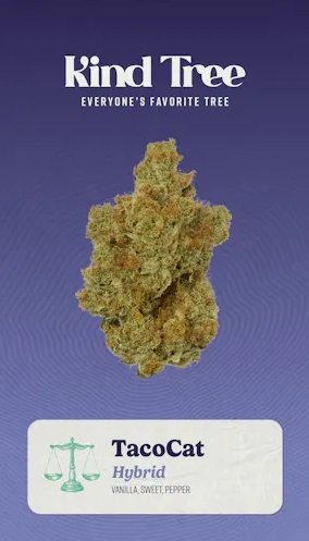 Photograph of product: Legend Popcorn - TacoCat 14g