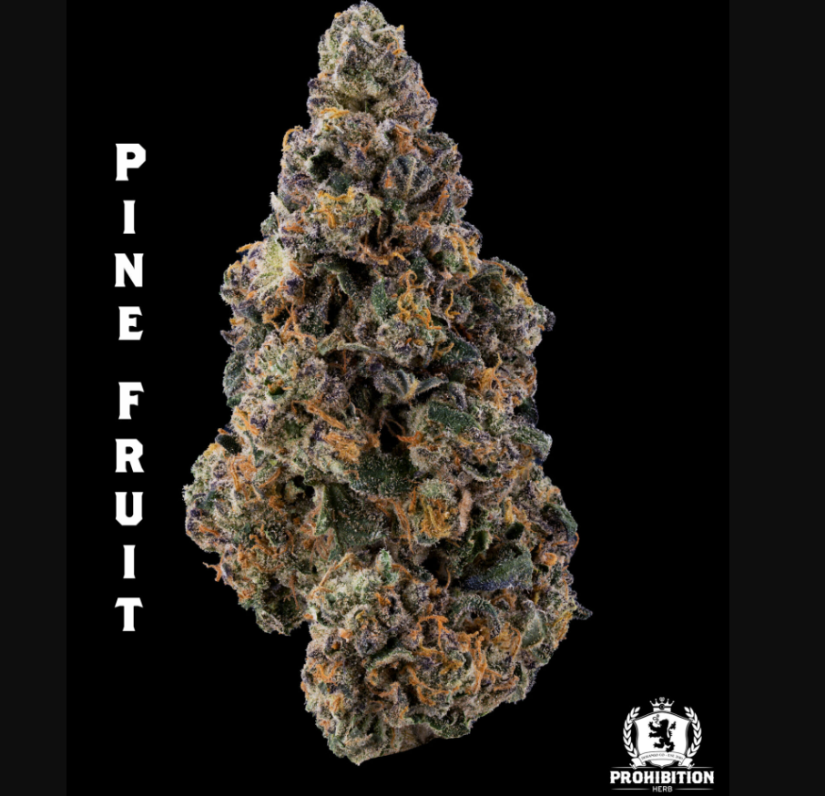 Photograph of product: Prohibition Herb - Pine Fruit (SH) - 3.5g Prepack