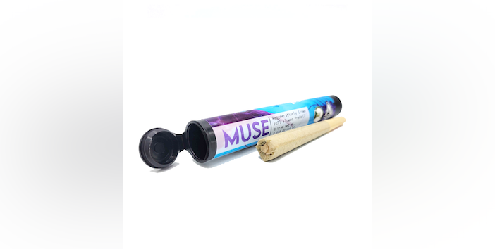 Photograph of product: 1G - MUSE - LUNAR #8