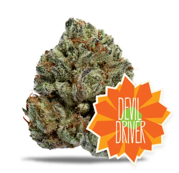 Photograph of product: Devil Driver | 7g