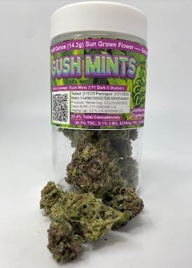 Photograph of product: Gush Mints 14g Outdoor - 