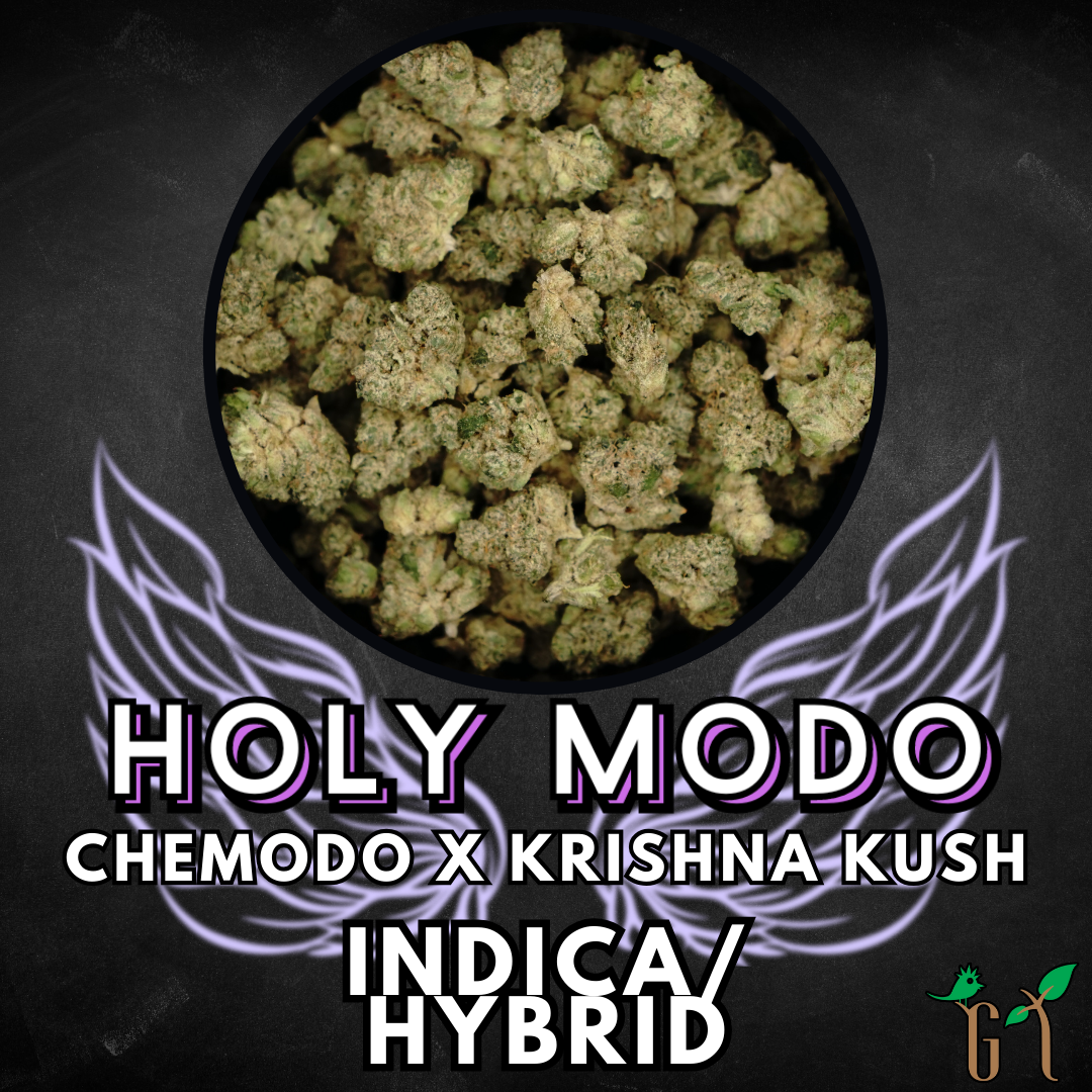 Photograph of product: Flower - Holy Modo - Special Tier (Bldr) - 28g