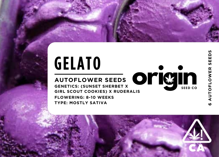 Photograph of product: Autoflower 6pk - Gelato