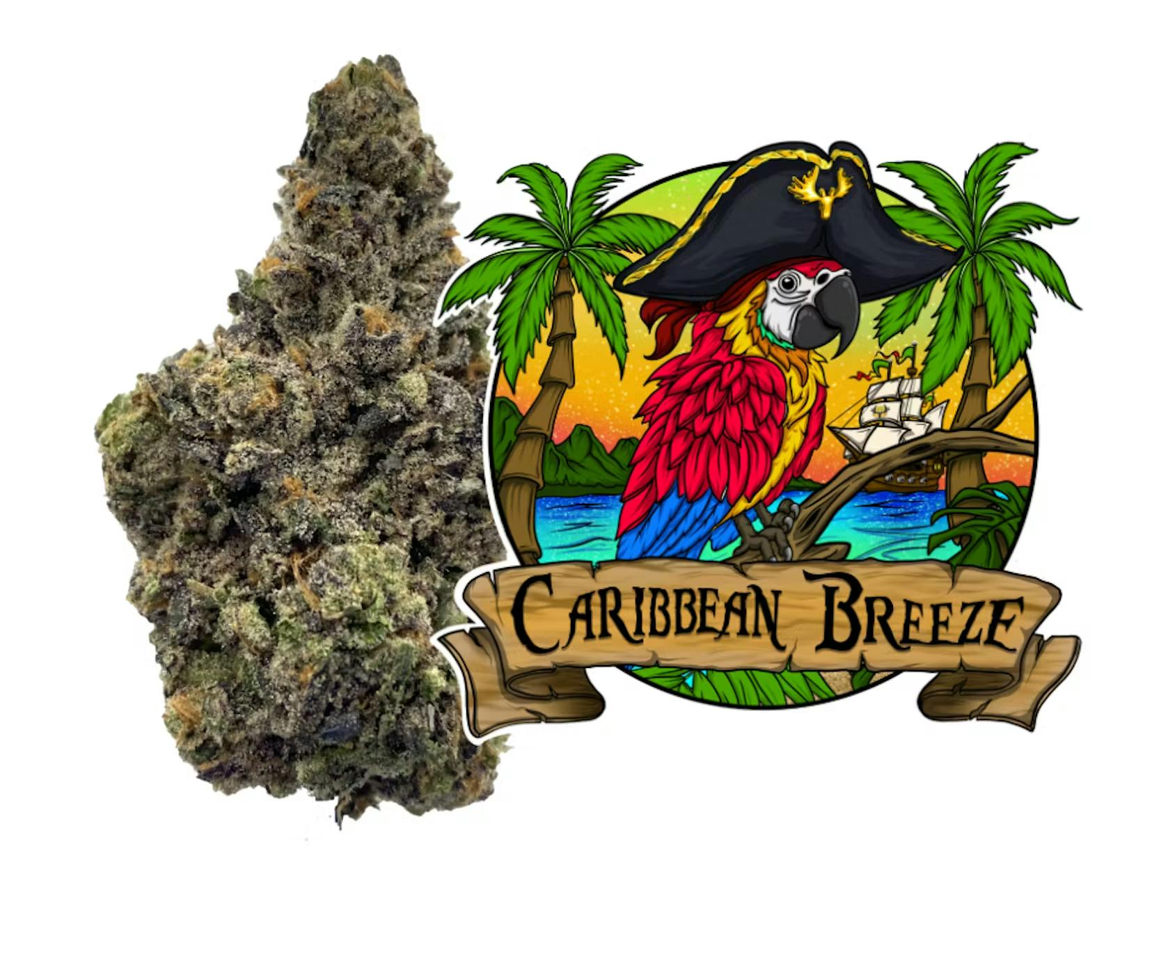 Photograph of product: Caribbean Breeze #6
