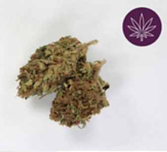 Photograph of product: ERVA | Lifter | 7g Hemp Flower
