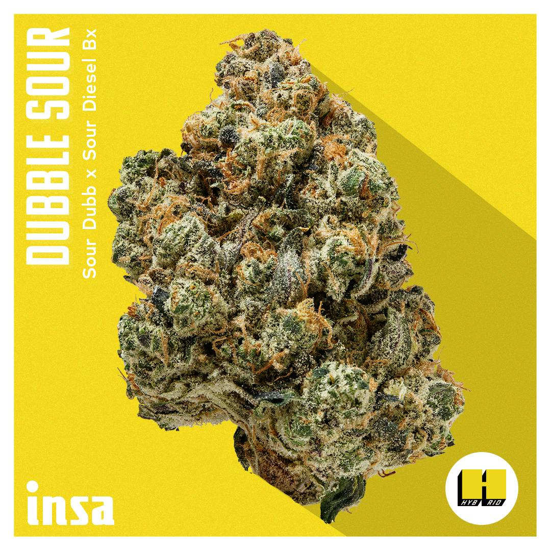 Photograph of product: INSA | Dubble Sour | 3.5g