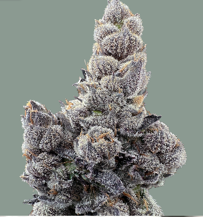 Photograph of product: Ethanol - 1g - Trifecta Farms