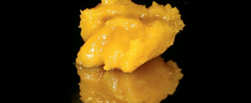 Photograph of product: Infinity Grape Cream Cake x Lemon Bar Live Badder (1g)