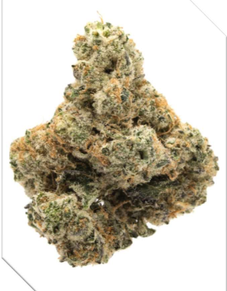 Photograph of product: Money Ball | Organic Living Soil - 7g