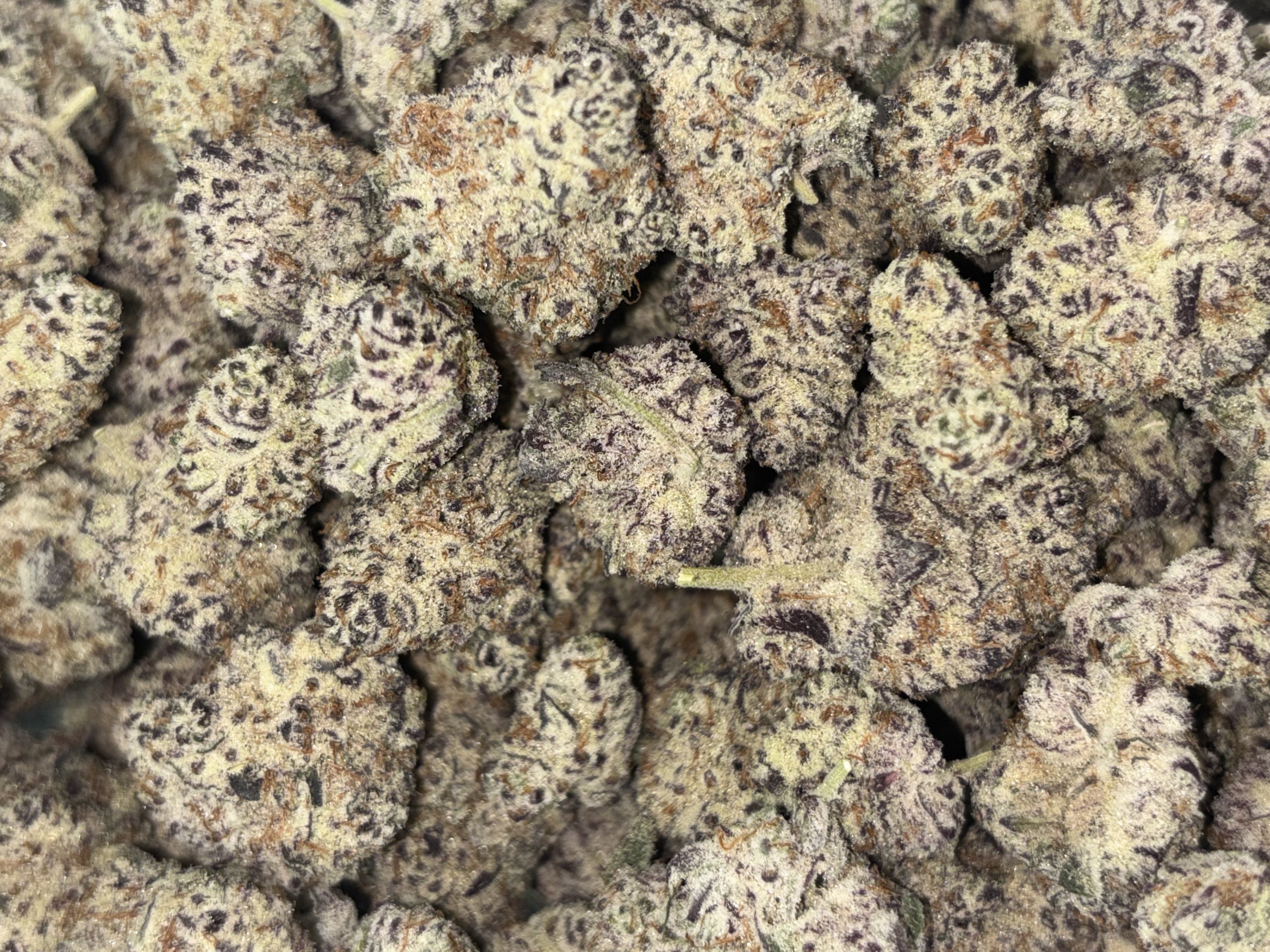 Photograph of product: Madhaus Bud | Block Berry - Oui'd - 28g
