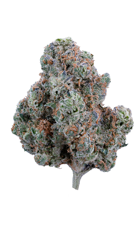 Photograph of product: Glorious | Terpee Slurpee - 3.5g