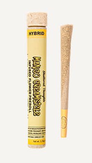 Photograph of product: 1.25g | Mango Creamsicle | Infused Pre-roll