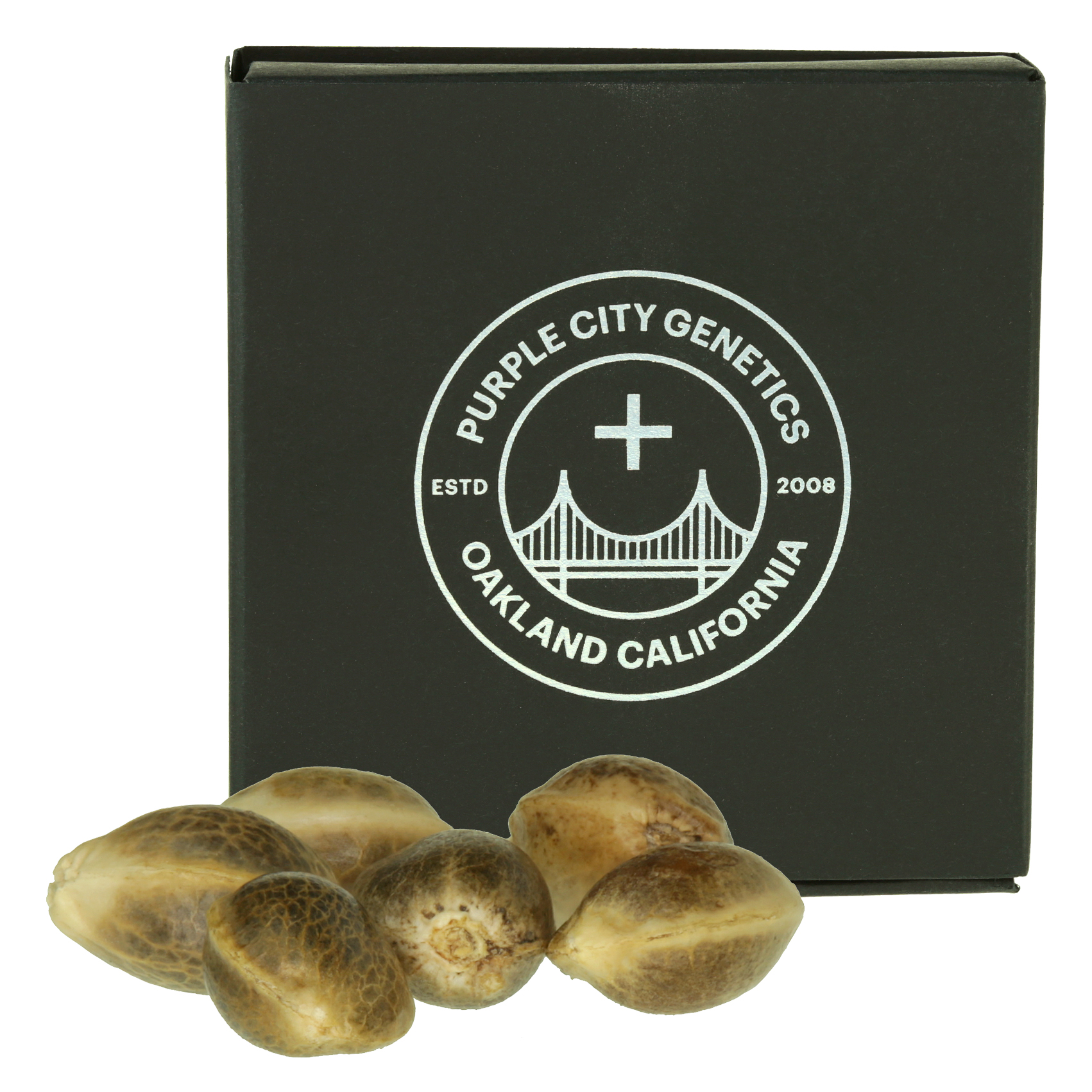 Photograph of product: Toasted Sesame 6pk Fem. Seeds Purple City Genetics