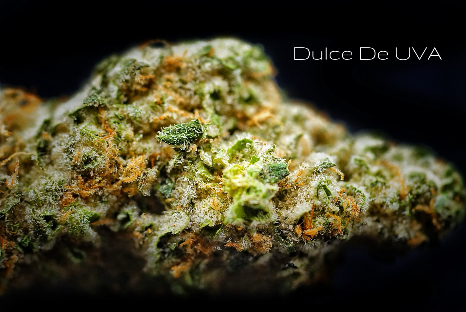 Photograph of product: Dulce De Uva Popcorn - 28g