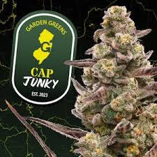 Photograph of product: Cap Junky 3.5g