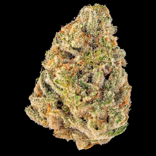 Photograph of product: Gud Gardens Dante's Inferno - 14g