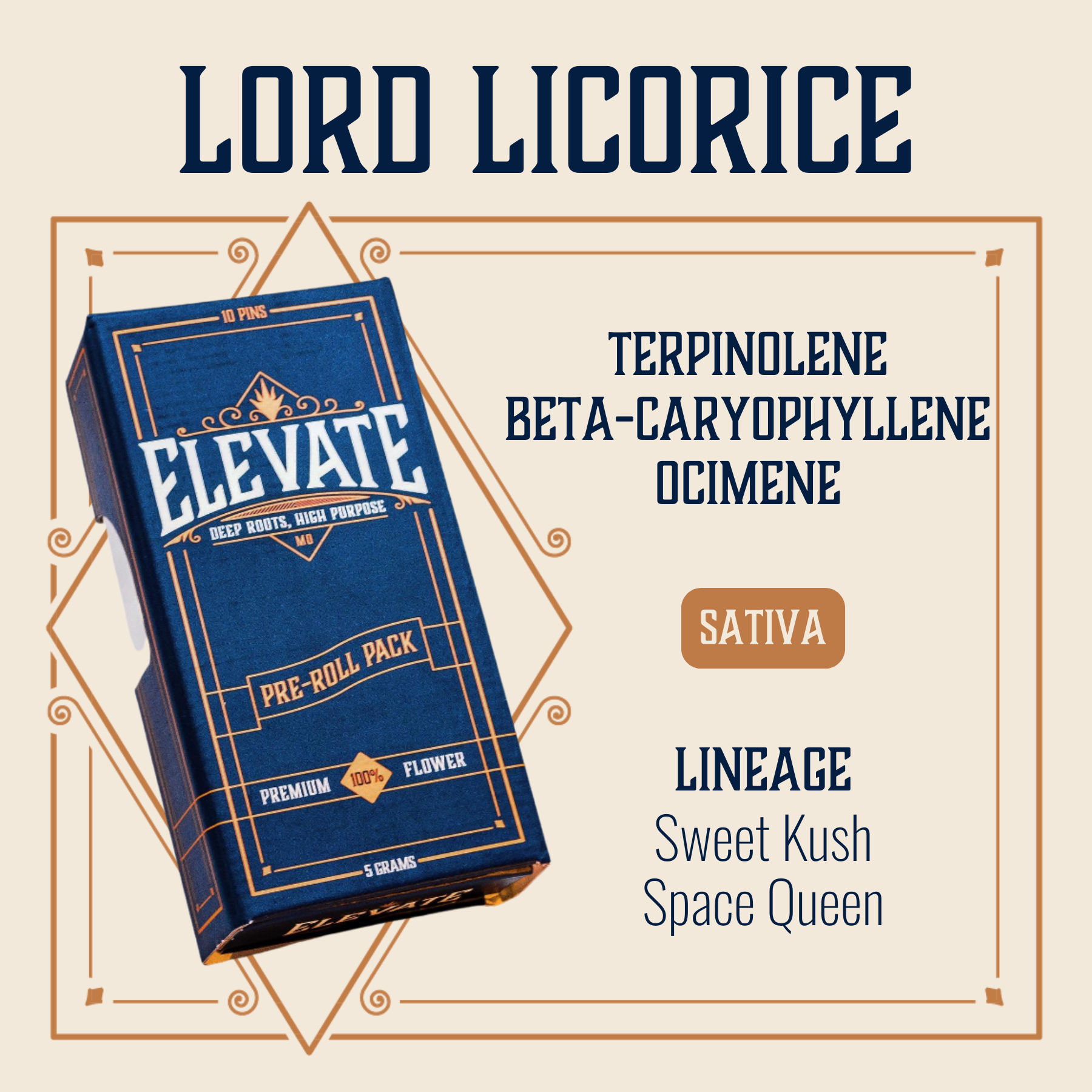 Photograph of product: Lord Licorice Pins Pre-Roll | 10-pack