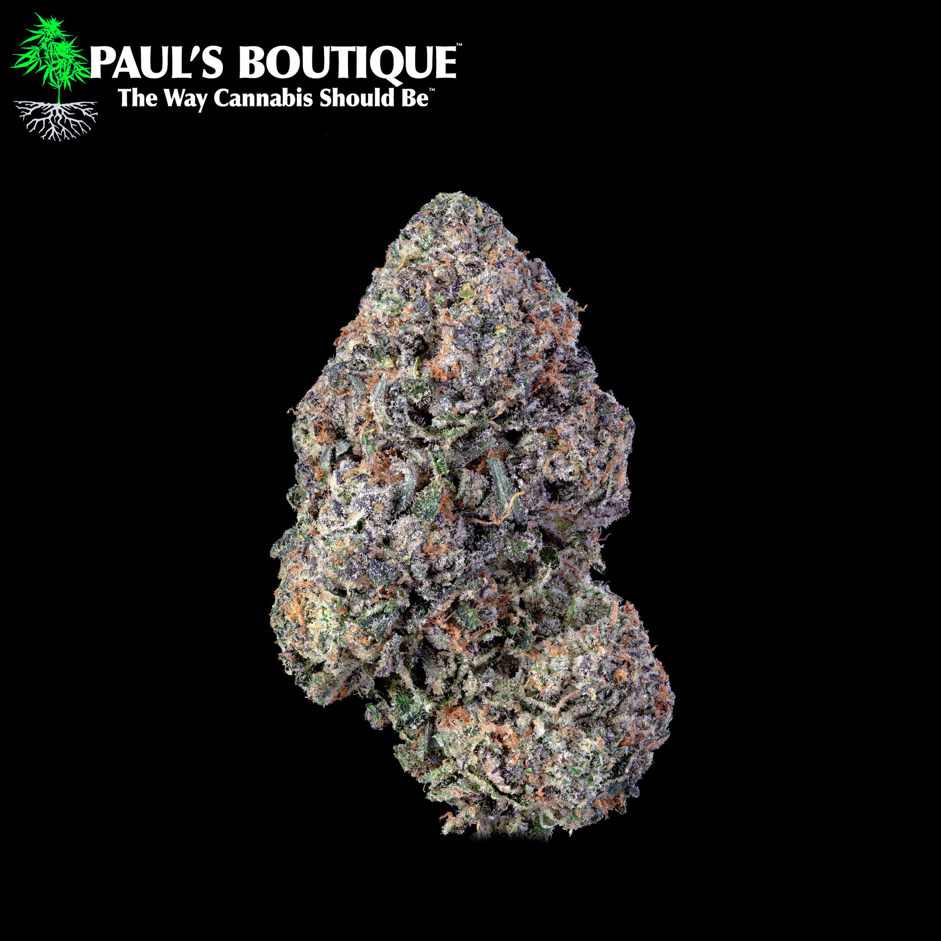 Photograph of product: Paul's Boutique - Zangria - 3.5g