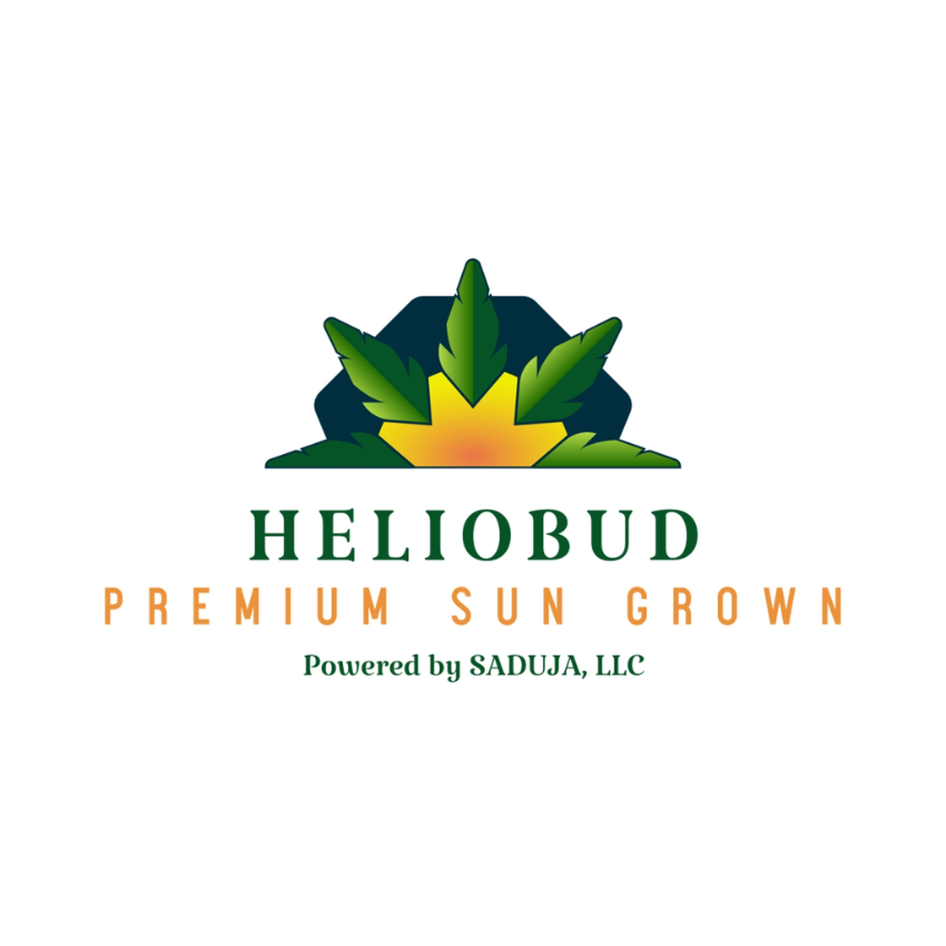 Photograph of product: Heliobud | 100mg | Black Tea | Infused