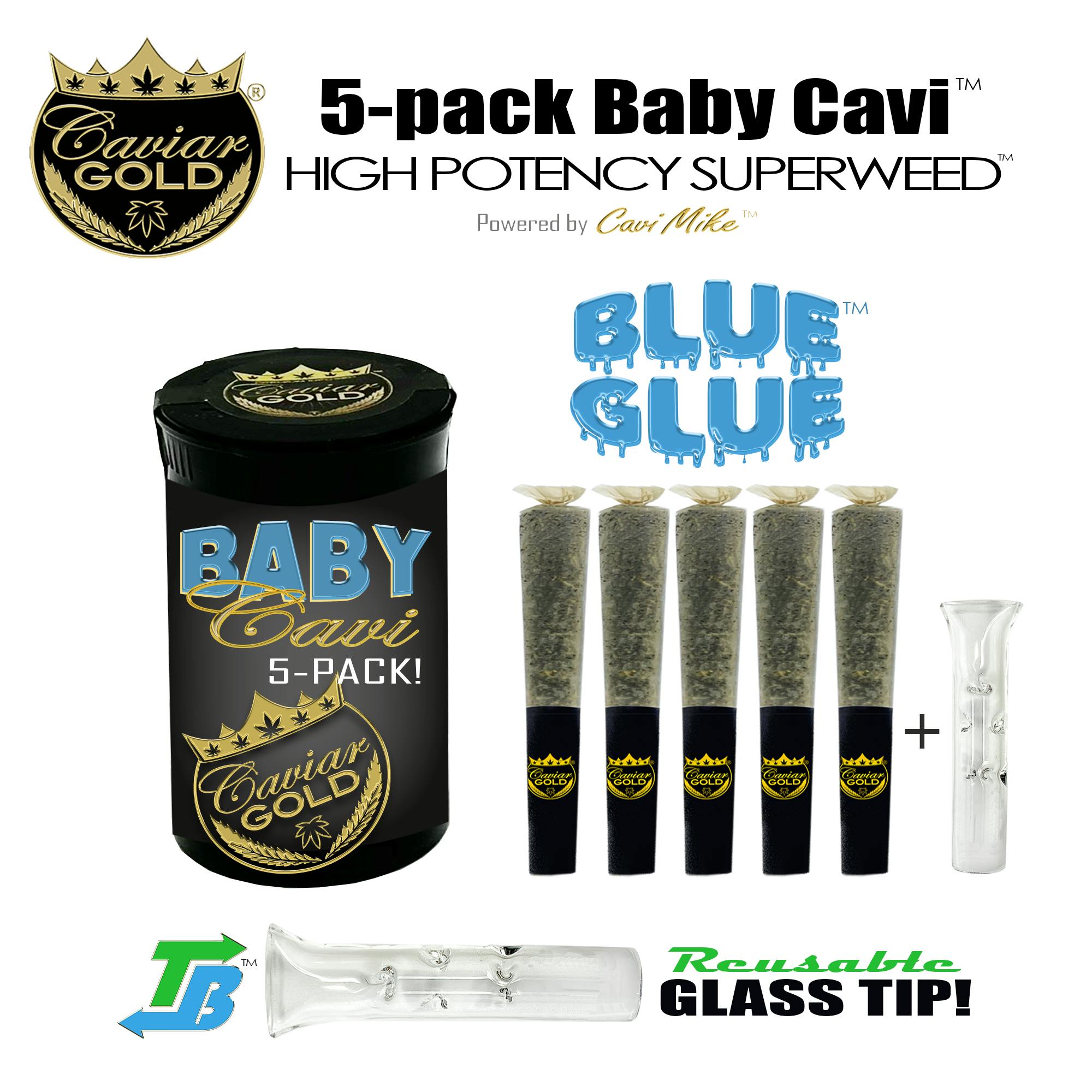 Photograph of product: Blue Glue Baby Cones 5pk - 2.5g