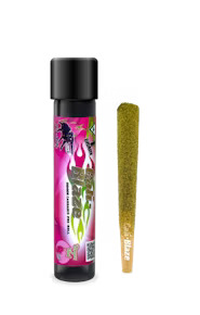 Photograph of product: Bubble Gum Tarantula- Cali Blaze