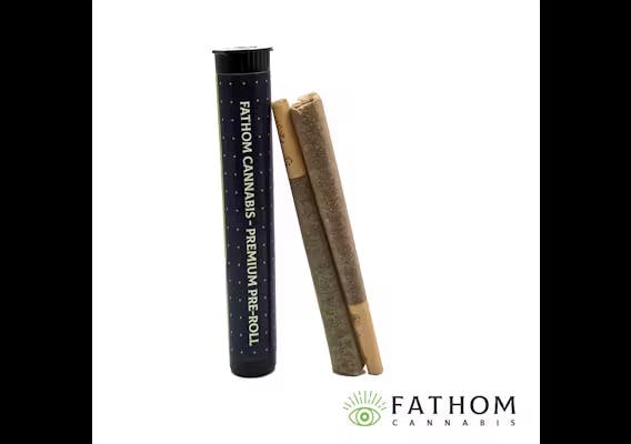 Photograph of product: Fathom - Grape Gas - 2pk x 0.5g Prerolls