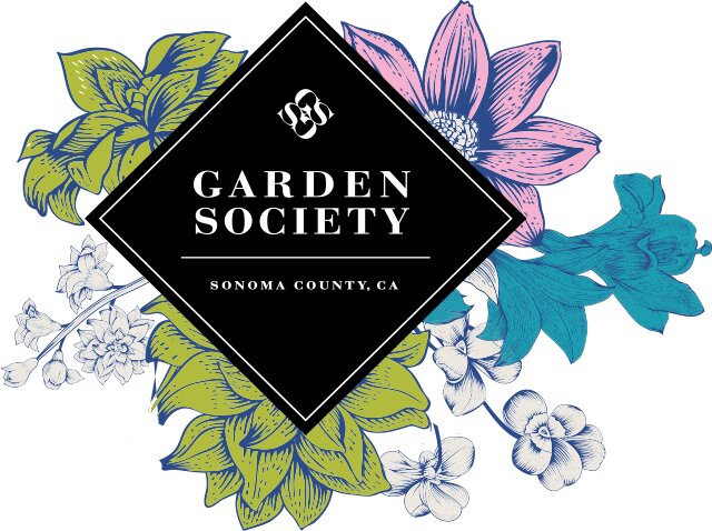 Photograph of product: Brighter Day 28pk Pre-Rolls Garden Society