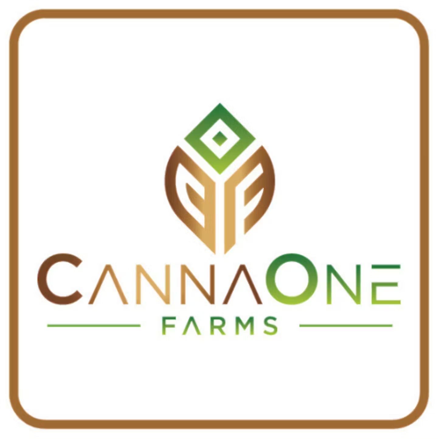 Photograph of product: CannaOne - Black Maple 1g