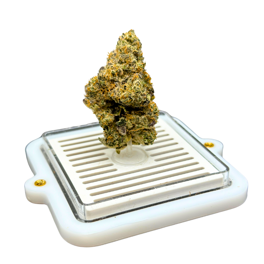 Photograph of Product: Bananaconda | Flower Bar - 28g