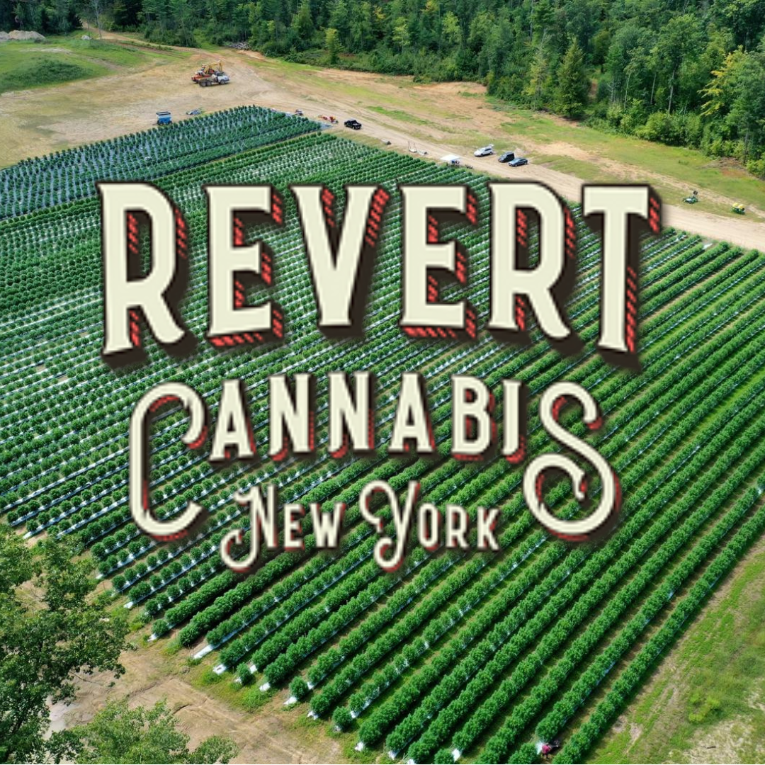 Photograph of product: Revert | Pre Rolls | Mix & Match | .5 | 6pack