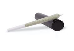 Photograph of product: Yumm Yum Pre-roll