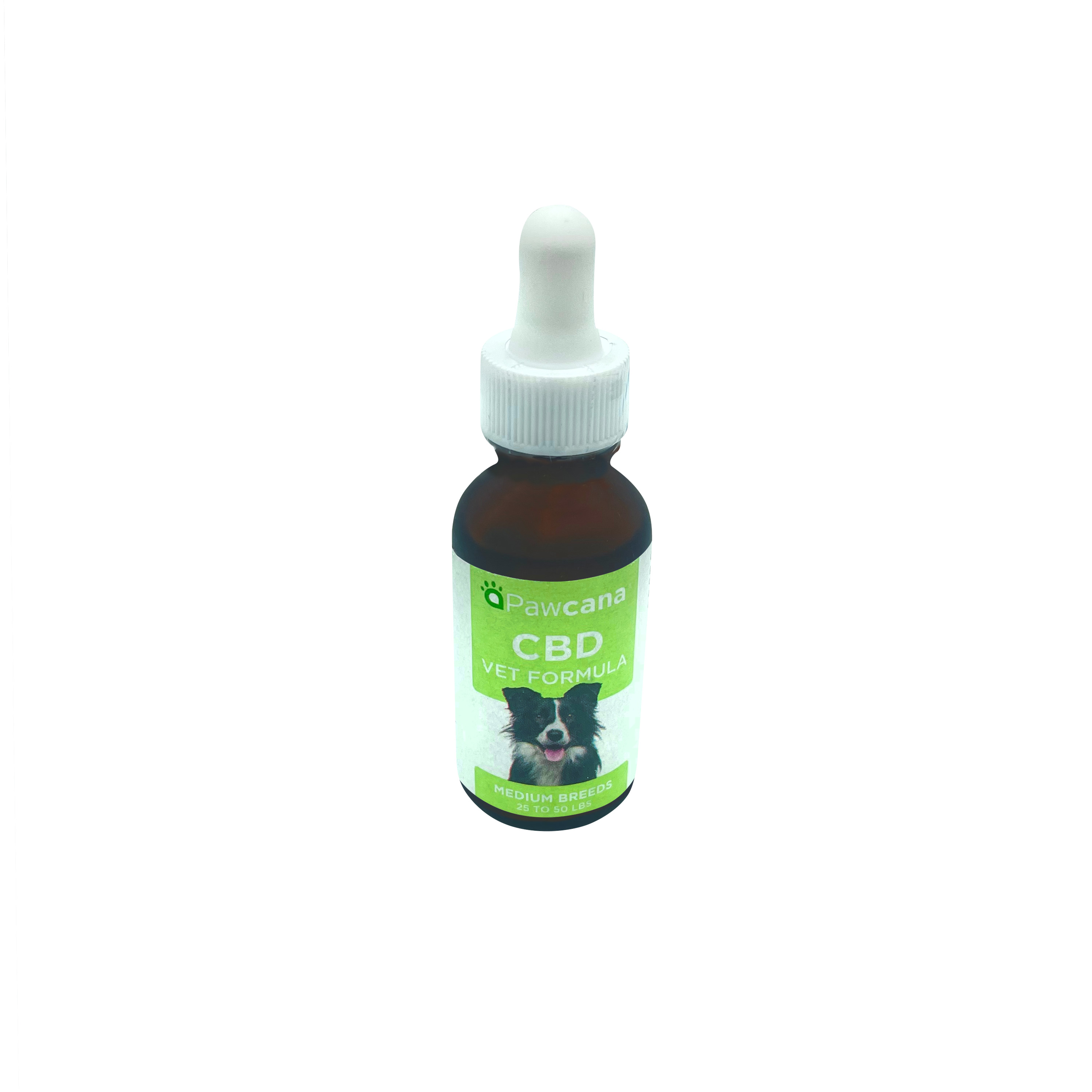 Photograph of product: Pawcana CBD Dog Oil-Medium