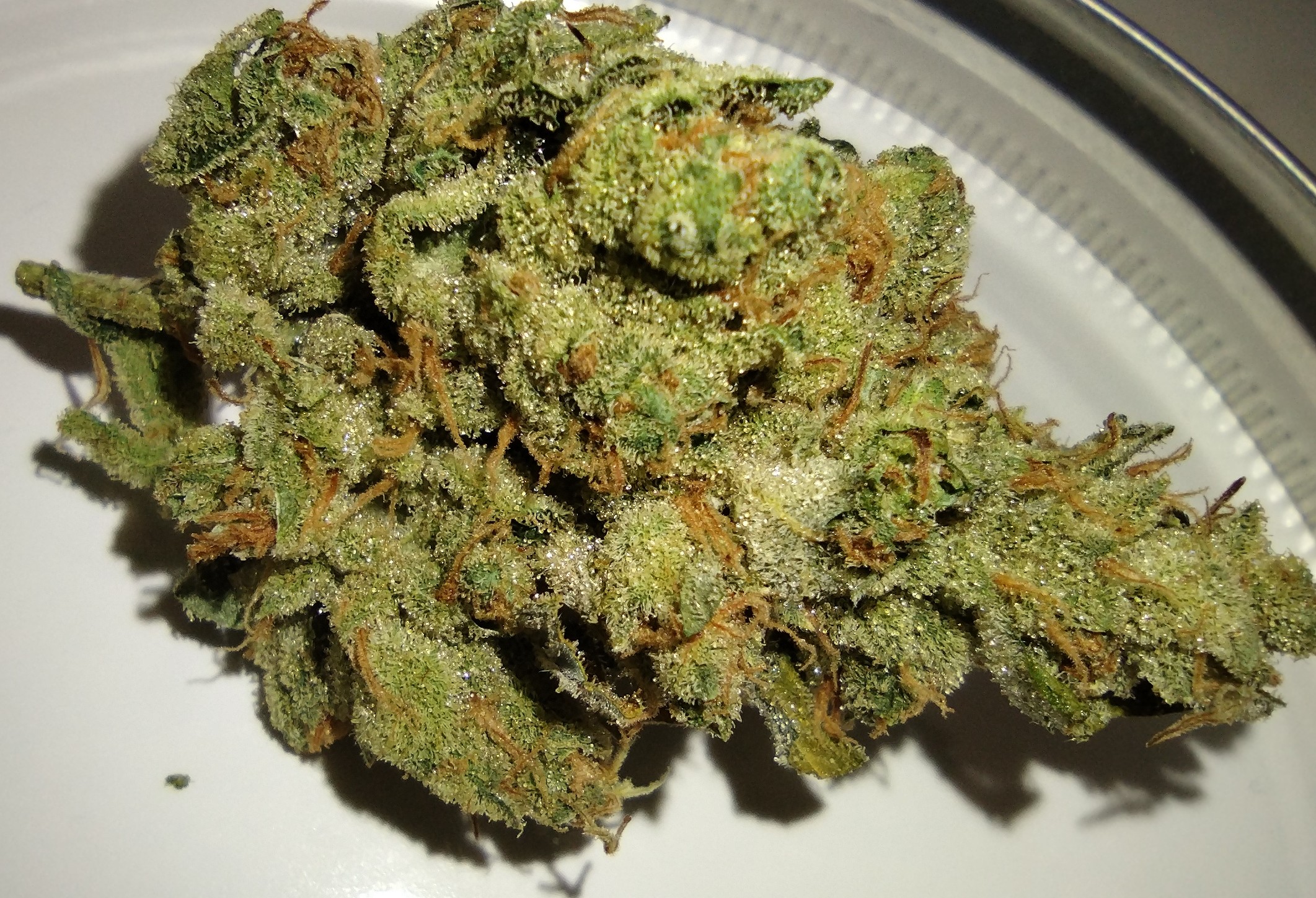 Photograph of product: Dakota Natural Growers - Original Diesel X GMODD - 7g - Flower
