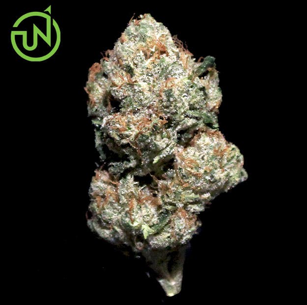 Photograph of product: UpNorth - Humboldt OG - 3.5g - 