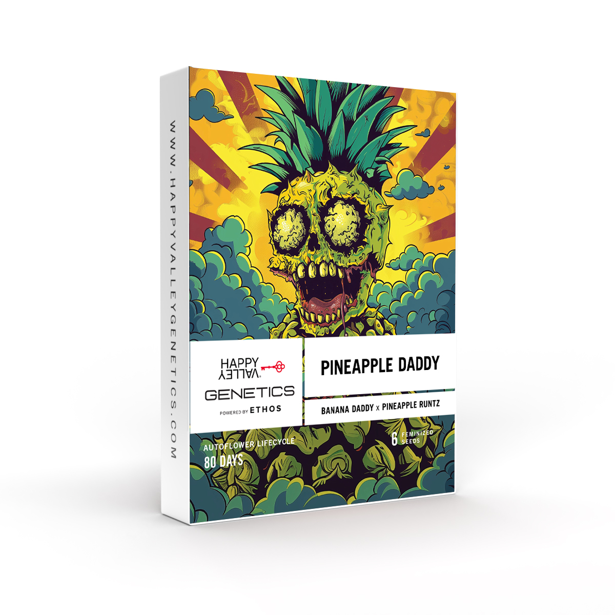 Photograph of product: HVG: Seed Pack - Pineapple Daddy (6-Pack) Autoflower