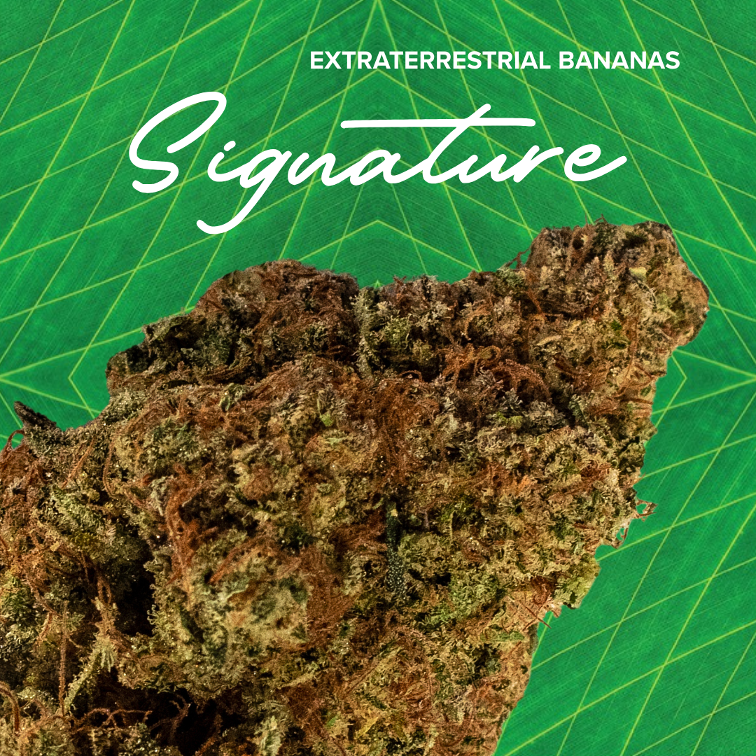 Photograph of product: Signature 3.5g ETB