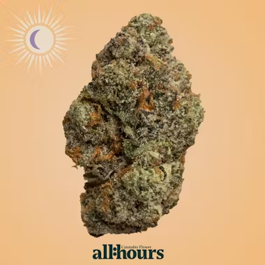 Photograph of product: Blueberry Cup CKE | Pre-Pack | 7g (41110)
