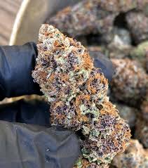 Photograph of product: Forbidden Fruit | Giving Tree Gardens | Bulk Flower
