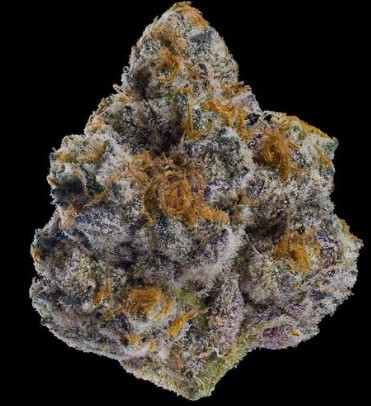 Photograph of product: Maven Lipsmackerz Hybrid Flower 3.5g