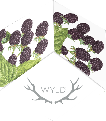 Photograph of product: Marionberry (100mg)