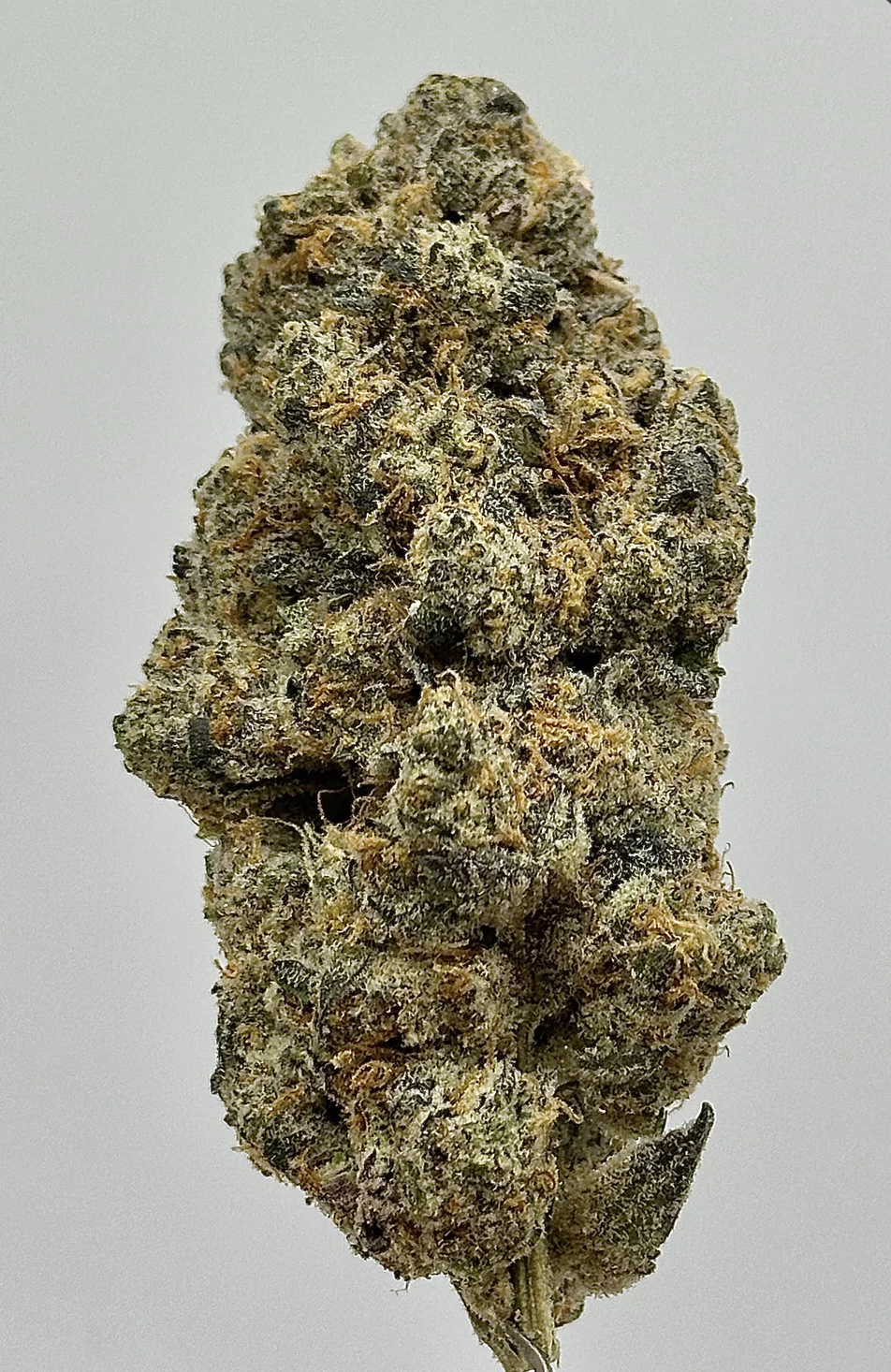 Photograph of product: Knack | Space Station | 7g