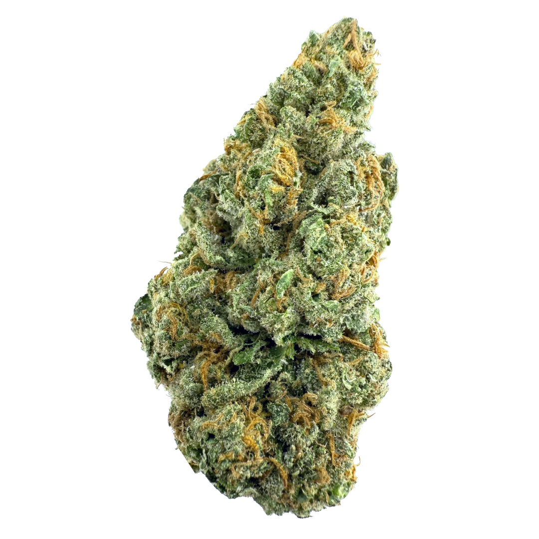 Photograph of product: GOLD STANDARD - E85 3.5G