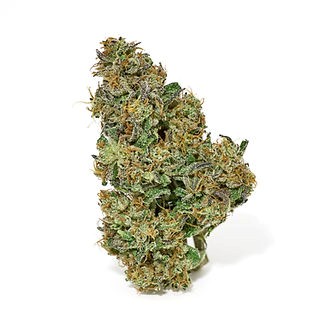 Photograph of product: Alchemy Pure | GMO | Flower Jar - 3.5g