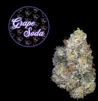 Photograph of product: Grape Soda | 3.5g