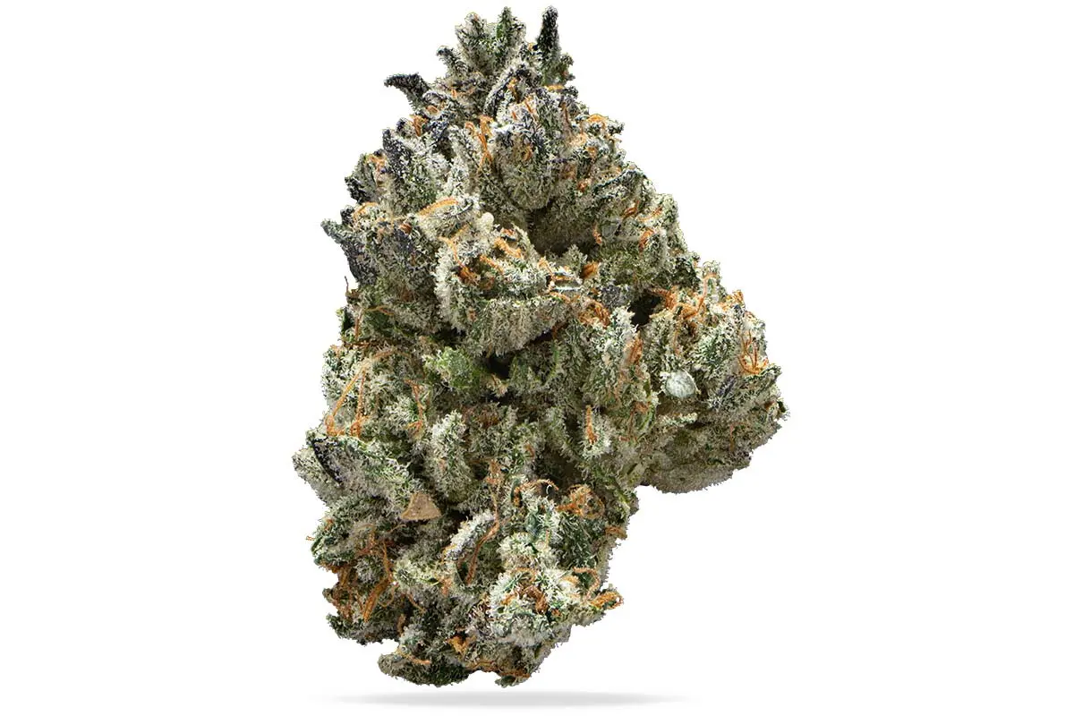 Photograph of product: Big Ol' Jar - 14g Flower - Gorilla Truffle