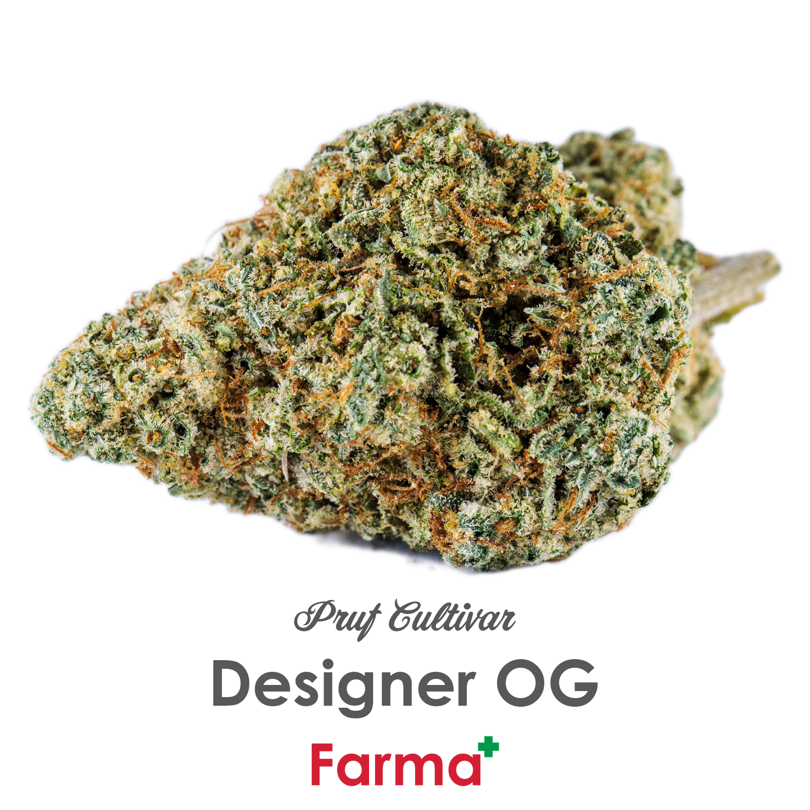Photograph of product: Pruf Cultivar Designer OG | B2 - 7g